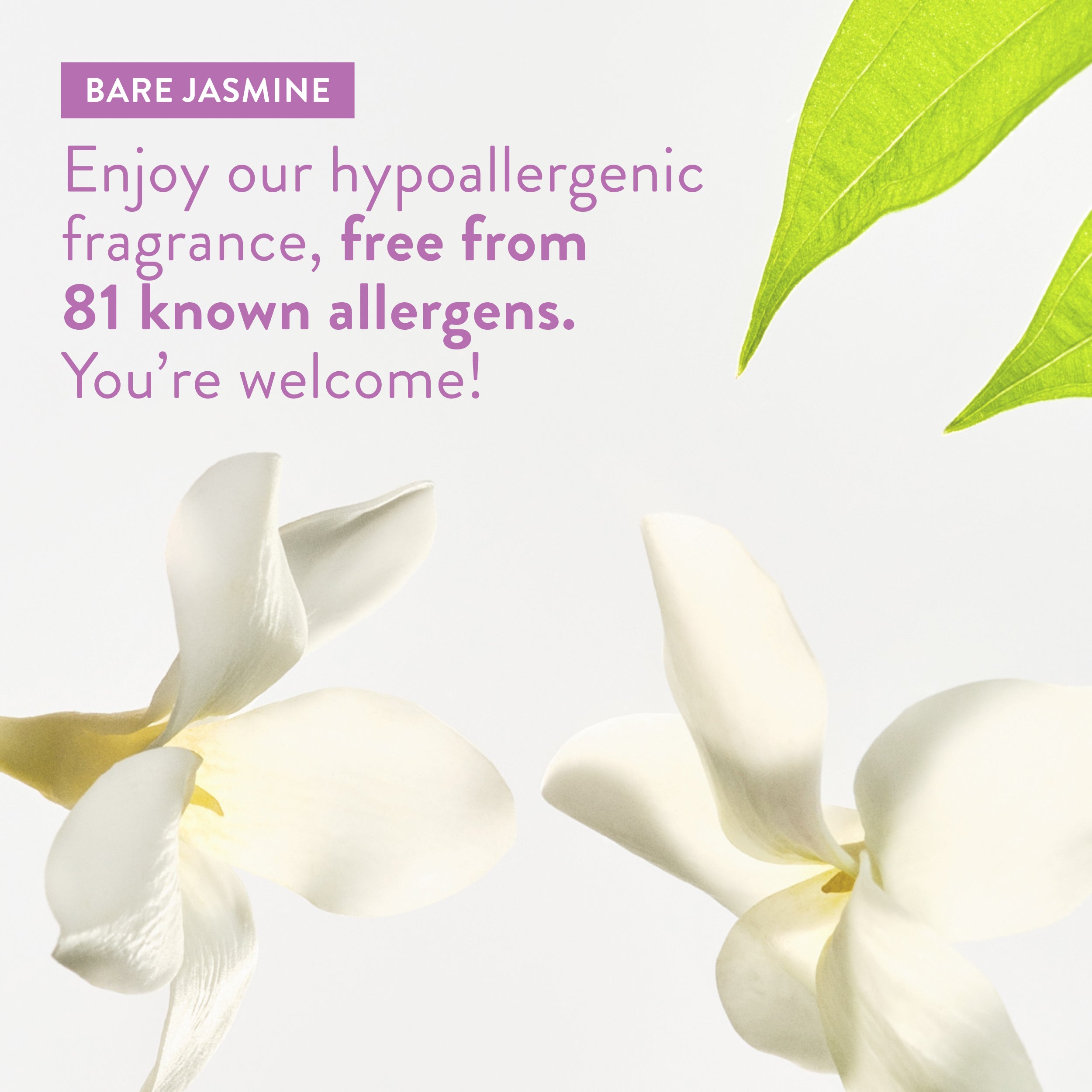 Sensitive Series: Body Lotion - Image 27