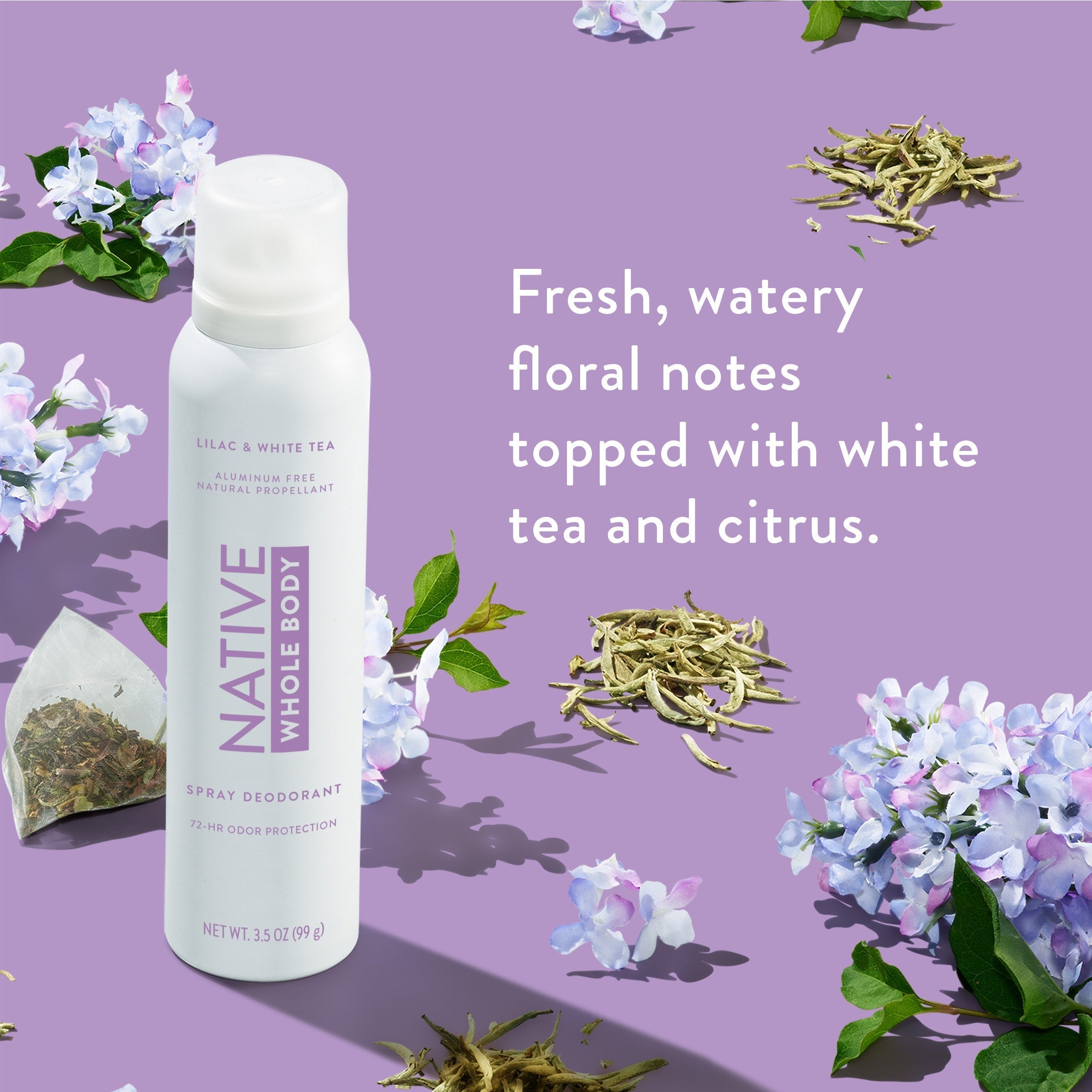 Whole Body Deodorant Spray - Image 33